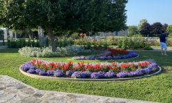 411C6E70-8B0A-4452-81B9-37DDE5444EA5_1_105_c