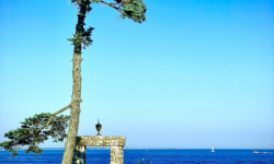 33D97BB2-620D-43E6-A99B-69CABFC6C995_1_105_c