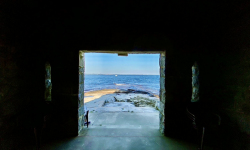 CDD34899-4919-4AF0-BA25-C3D46B36EB57_1_105_c