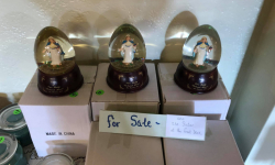 72920846_10214684692538959_8058492278143975424_o