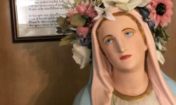 73409366_10214684686418806_2319656702074421248_n